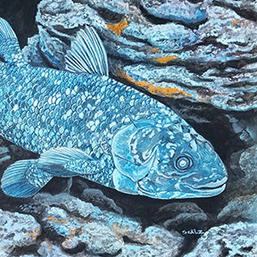MARINE FISH ART